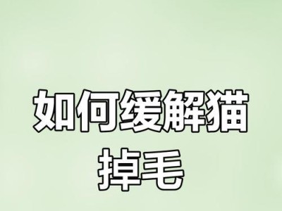 揭秘猫咪掉毛的原因与解决方法（猫咪掉毛原来是一种自然现象，如何有效地减少掉毛问题？）