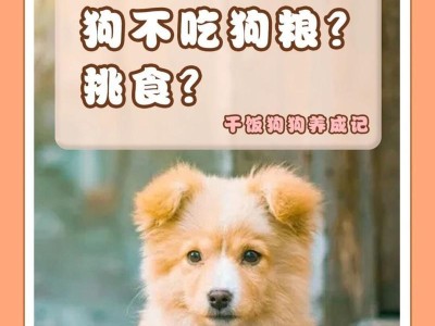 狗狗为什么不吃狗粮？（探究狗狗拒食狗粮的原因及解决方法）