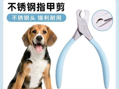 如何正确处理狗狗的指甲（剪指甲的技巧及注意事项）