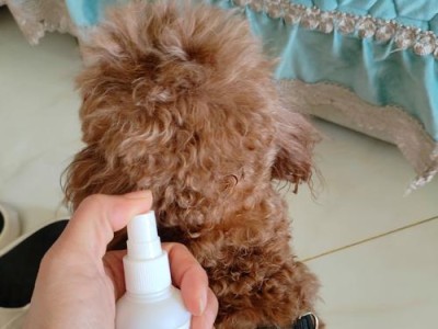 宠物狗驱虫必知，保护健康从小开始（刚出生的小狗应该在何时进行驱虫？如何正确驱虫？）