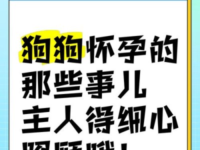 狗狗怀孕注意事项（了解如何照顾怀孕的狗狗）