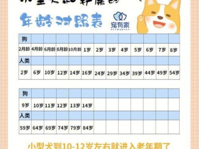 以犬岁数长为主题的文章（揭秘犬类寿命长的关键原因）