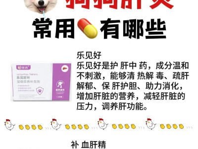 家里常备的狗狗药品有哪些？（了解狗狗的基本药箱，为宠物健康护航）