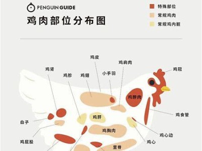 鸡尾鹦鹉的养殖与饲养方法（掌握科学养殖技巧，打造健康快乐的鸡尾鹦鹉家族）