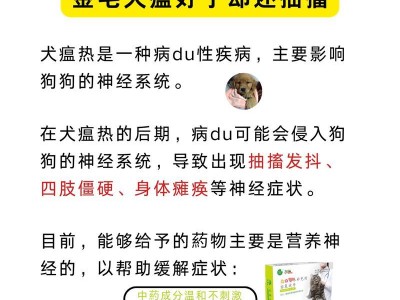 犬瘟病的康复时长及预防措施（探究犬瘟病的康复周期，提供预防与治疗的关键知识）