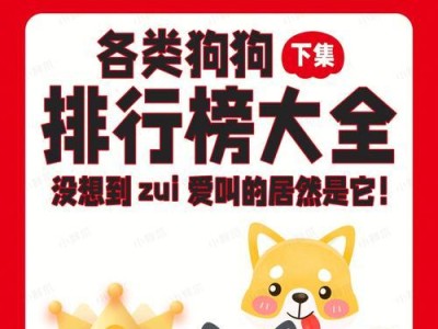 如何以丝毛梗饲养你的宠物狗？（注意事项、健康饮食、适宜运动、社交能力）