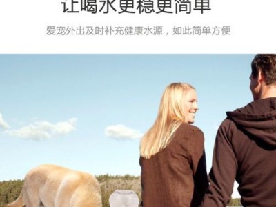 泰迪犬喝水的5个禁忌，劝你别再犯了！（让你了解泰迪犬饮水需要，守住这5个关键点！）