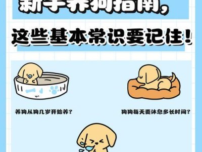 养狗必备物品及新手注意事项（打造幸福狗生活的关键一步，全面准备，让爱犬安心健康）