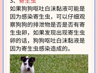 探究呕吐时泡沫为主的原因（了解泡沫呕吐的相关知识及可能的原因）