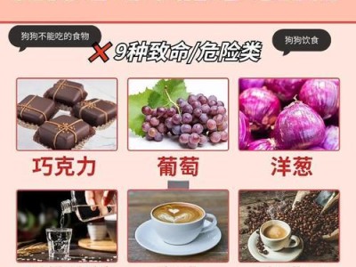 狗狗的饮食习惯和健康饮食（揭秘狗狗喜欢的食物及饮食注意事项）