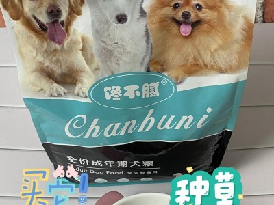 五个月大的泰迪宝宝适合吃哪种狗粮？（为泰迪宝宝选择合适的狗粮是养护的第一步）