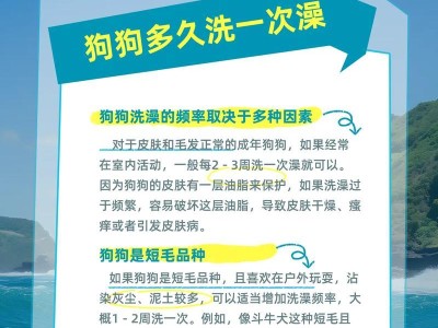 狗生崽后多久可以洗澡的最佳时间？（了解适合给新生小狗洗澡的最佳时间和注意事项。）