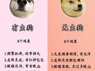 狗狗驱虫后吐虫子的时间和原因解析（揭秘狗狗驱虫后虫体排出的时间周期及可能引发的问题）