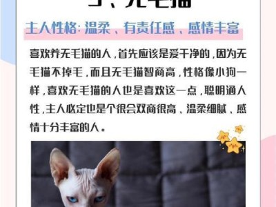 如何饲养斯芬克斯猫？（掌握饲养技巧，让你的宠物健康快乐）