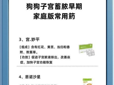 养狗必备药品，保护狗狗健康关键（家养狗狗必备的药品清单，为宠物健康护航）