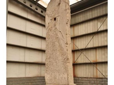 乌龟交配不慎变化石（乌龟遗留的4700万年前交配行为引发科学界关注）