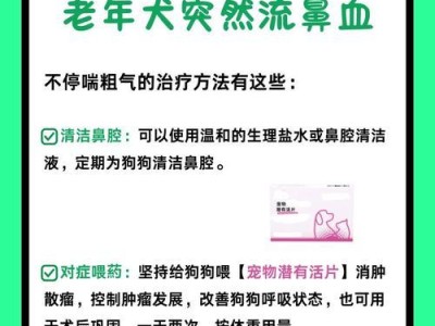 狗狗鼻腔肿瘤（了解狗狗鼻腔肿瘤，保护宠物的健康）