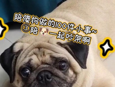 探讨以一起狗的意义（狗与人类的亲密关系及其影响）