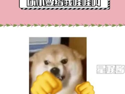 神烦之柴犬（柴犬特质、行为和个性揭秘，为何柴犬拥有如此称号？）