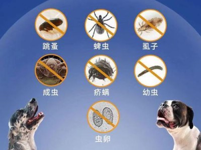 宠物打虫药的适用周期及注意事项（宠物多久吃一次打虫药？如何正确使用打虫药？）