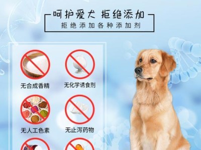 泰迪幼犬的正确喂养方法（掌握泰迪幼犬狗粮的正确用量和注意事项）