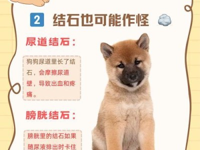 六个月大的狗可以憋尿多久？（探讨狗狗尿意憋持能力及解决方法）