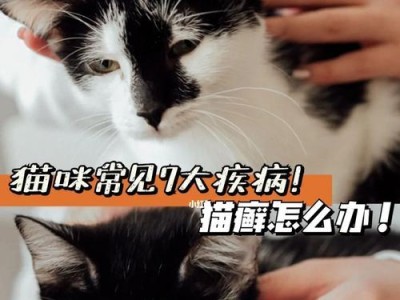 养猫需准备的费用有多少？（猫咪的日常开销及养病费用一览）