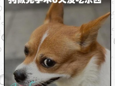 狗狗手术愈合时间的关键因素（探究手术类型、狗狗年龄、个体差异等对愈合时间的影响）