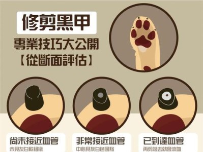 京巴狗的毛发护理与剪毛频率（京巴狗毛发护理的重要性及适当的剪毛频率探讨）
