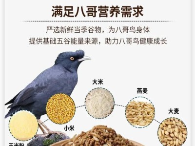 以巴哥的寿命及饲养要点（揭秘以巴哥的寿命长短与延长生命的关键）