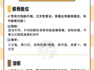 贵宾犬喂养秘籍-关注5大要点（了解贵宾犬的特点，科学喂养宠物健康成长）