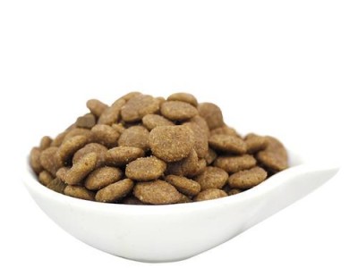 大型犬的经济优质狗粮选择（为您推荐适合大型犬的高性价比狗粮）