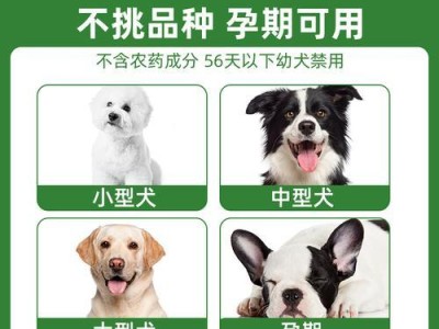 狗狗驱虫（保护宠物免受寄生虫侵害的关键措施）