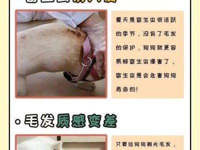 狗狗剃光之后多久才能长出毛来？（了解剃光后狗狗毛发生长周期的关键因素及护理方法）
