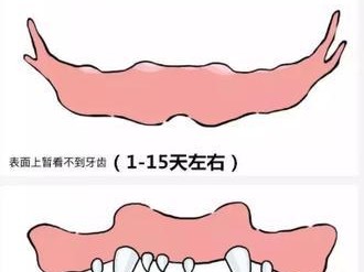 贝生吉犬的饲养全攻略（打造健康、快乐、优秀的宠物生活）