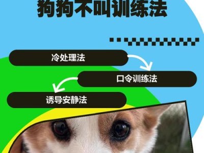 狗狗训练的多样性（狗狗训练的多种方法和技巧，助你与宠物建立更紧密的关系）