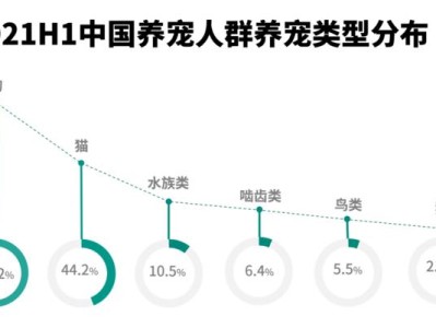 养宠必备的宠物医疗知识（宠物医疗知识，为你的宠物提供全面的保护）