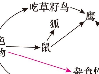 林地田鼠饲养方法详解（学会科学养殖，为经济增收助力）