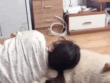 狗狗对主人的喜爱表现（了解狗狗喜爱主人的明显迹象）