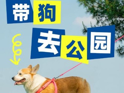 三岁狗狗打驱虫的重要性（保护爱宠健康，及时预防寄生虫侵害）