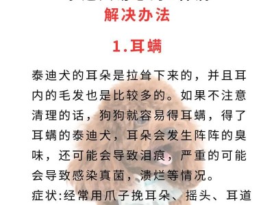 解决泰迪半夜狂吠扰民的方法（6种办法帮助铲屎官有效化解问题）