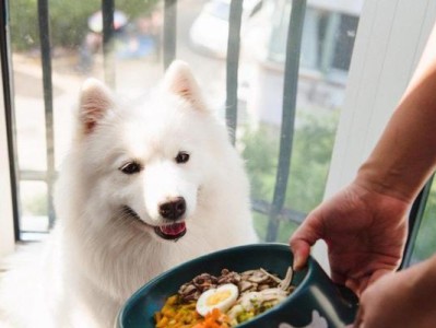 狗狗的合适食量与饮食需求（宠物营养师告诉你正确喂养狗狗的方法）