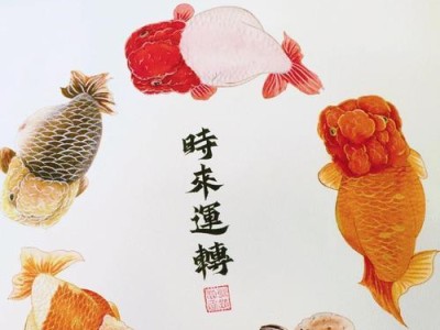 探索丰富多样的以兰寿鱼品种（品味以兰寿鱼的多重风味与口感）