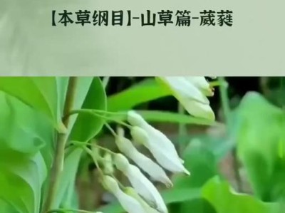 中药调理寒冷引起的身体不适问题（寒冷天气如何通过中药调理身体状况）