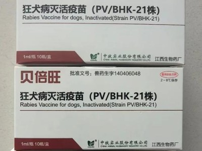 狗狗疫苗接种时间表解析（宠物狗的疫苗免疫计划及注意事项）