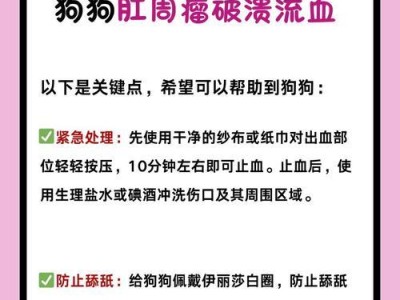 狗绝育手术后的疼痛期多长时间？（了解狗绝育手术的疼痛持续时间及护理方法）