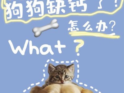 成犬缺钙的症状及预防措施（了解成犬缺钙的常见症状及如何预防）