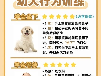 狗狗训练口令的技巧与方法（有效的口令训练能够提升狗狗的听从能力和行为素养）
