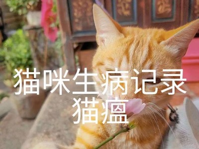 暹罗猫生病的常见症状（掌握暹罗猫生病的重要线索，保护我们的毛茸伙伴）