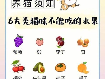 不适合养作宠物的猫的品种（选择适合自己生活方式的宠物猫）